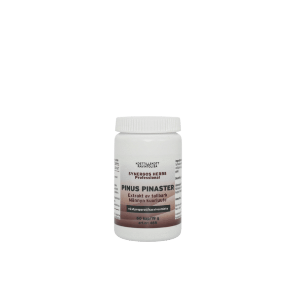 Pinus Pinaster
