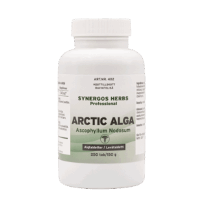 Arctic alga