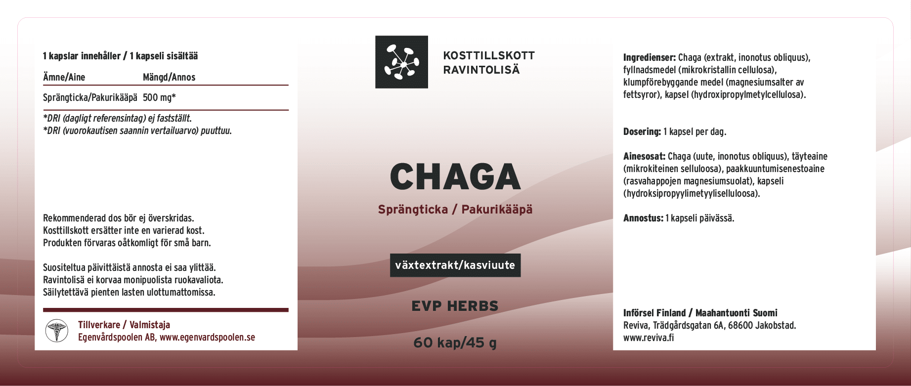Chaga - Sprängticka - Bild 2