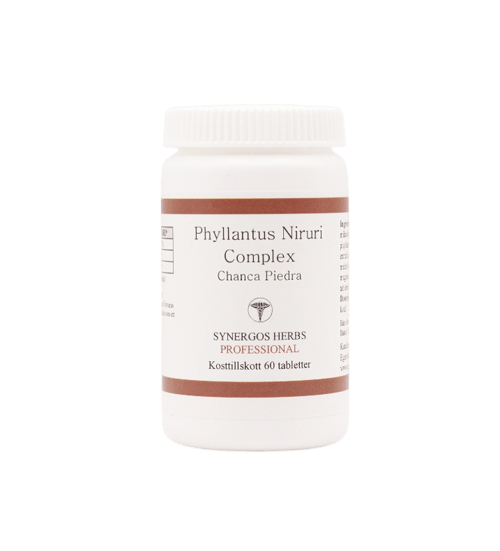 Phyllanthus Niruri