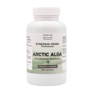 Arctic Alga - Synergos