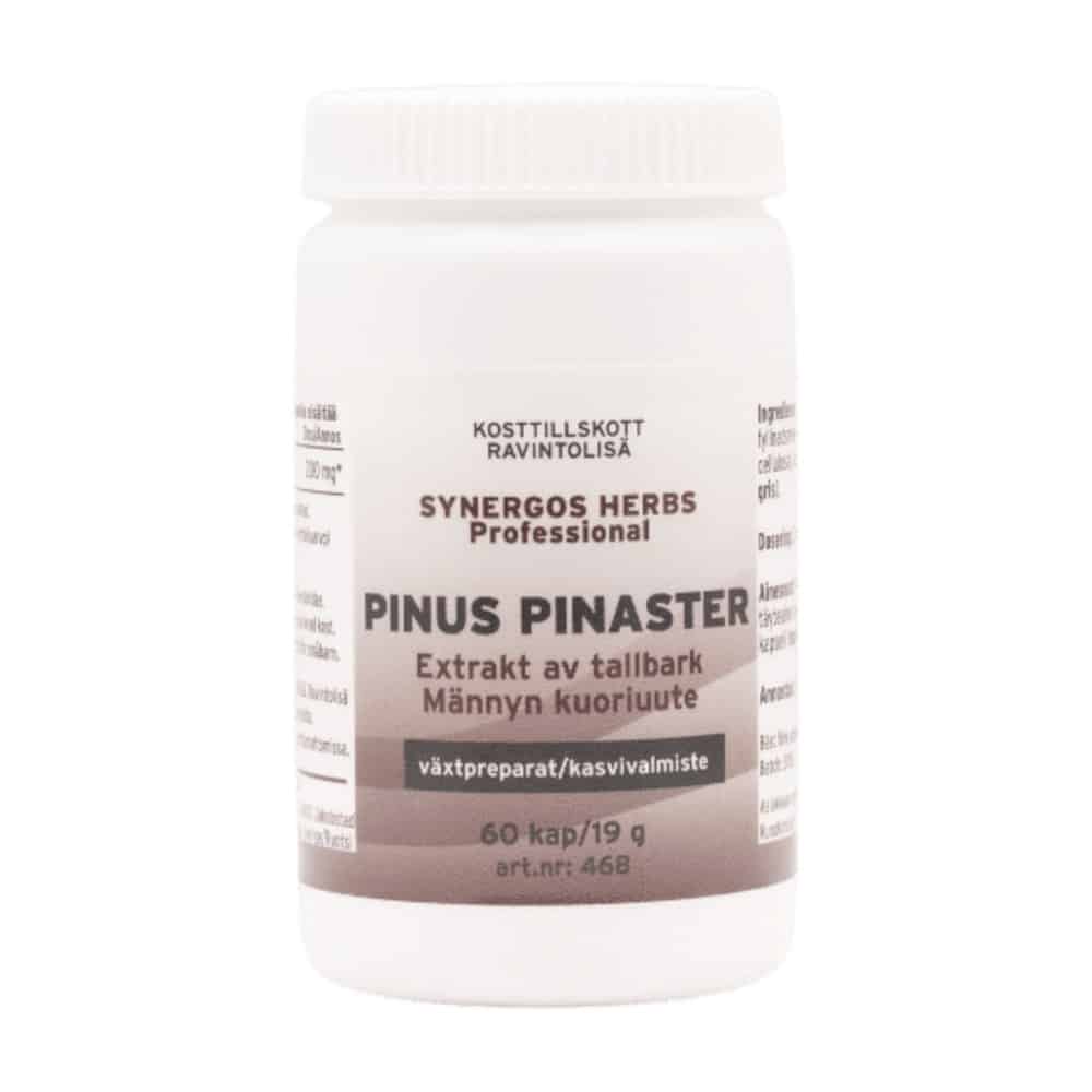 Pinus Pinaster - Synergos