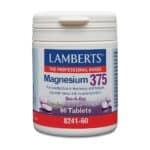 Magnesium 375mg One-A-Day - Lamberts Magnesium 375 mg