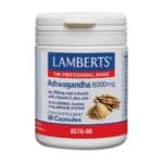 Ashwagandha 6000mg - Lamberts Ashwagandha