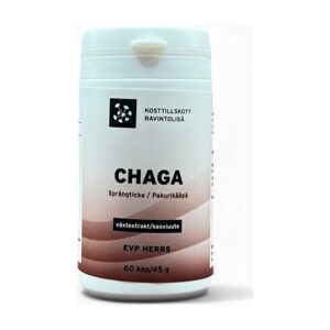 Chaga - Sprängticka
