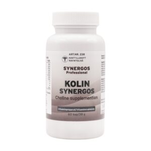 Koliini Synergos